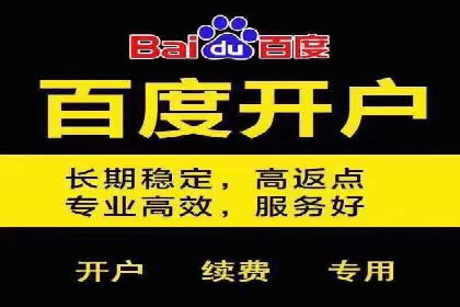 百度竞价排名：实战案例告诉你如何实现精准推广